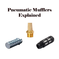 WHAT ARE THE DIFFERENCES BETWEEN PNEUMATC MUFFLERS